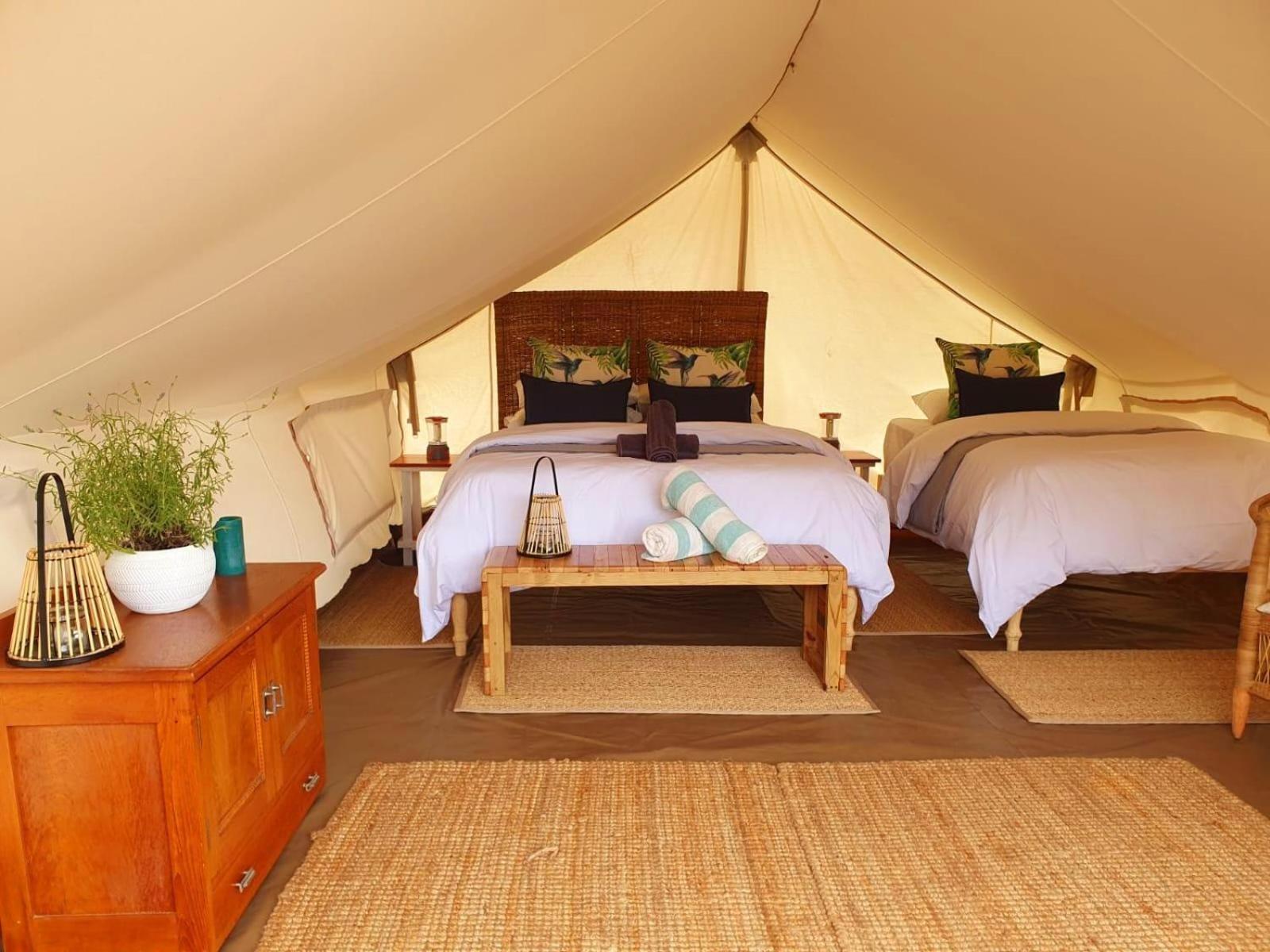 Leopard Valley Eco Retreat Citrusdal Kamer foto