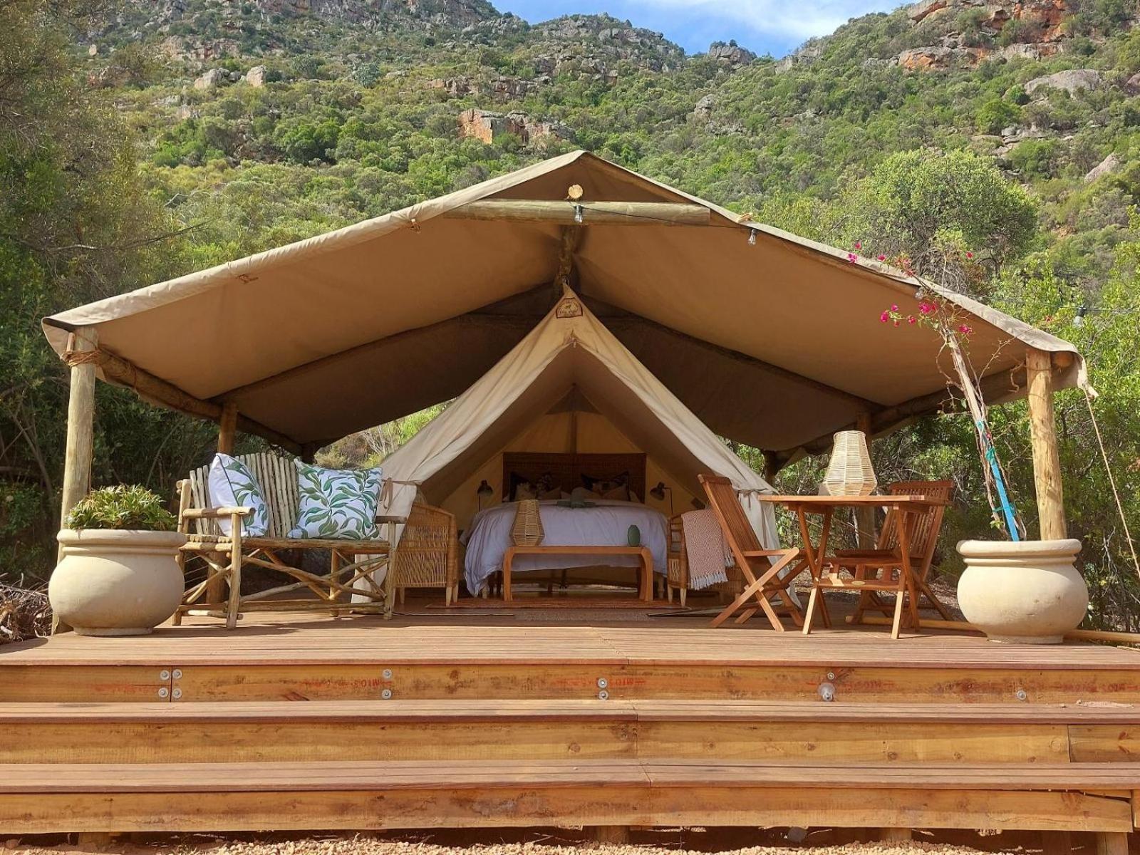 Leopard Valley Eco Retreat Citrusdal Kamer foto